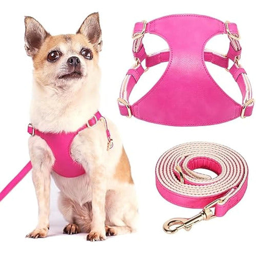 Didog No-Pull Harness for Small Dogs 0