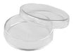 Center Quimica Borosilicate Glass Petri Dish 60x15mm 1