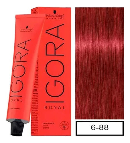 Schwarzkopf Igora Royal 6-88+ Hair Color Kit with 2 60ml Developers 5