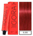 Schwarzkopf Igora Royal 6-88+ Hair Color Kit with 2 60ml Developers 5