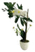 Artificial Orchid Flowers 35cm Home Garden Decor Plant Zn 0