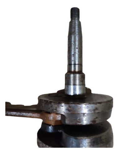 Jialing Kenya Crankshaft 1