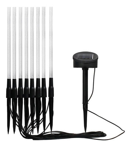 Liberte Premium Solar Led Stake Lights 8 Bright Acrylic Bubble Stakes 0