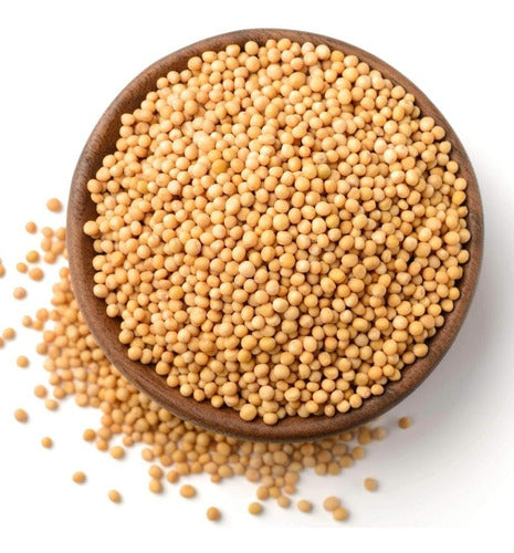 Premium Mustard Seeds - 100 Grs 0