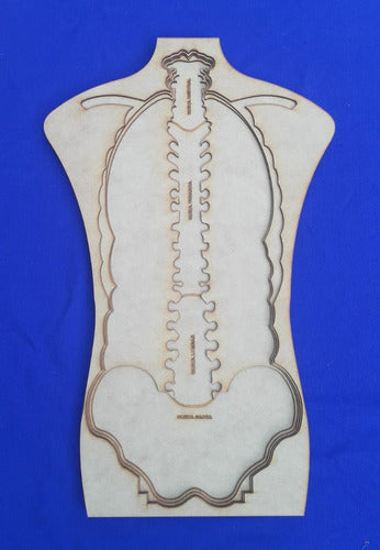 Rompecabezas De Anatomia Encastrable De Fibrofacil De 3 Mm 5