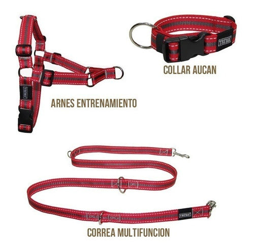 TREWA Arnés Anti-tirones + Collar + Correa Trewa - Talle M 4