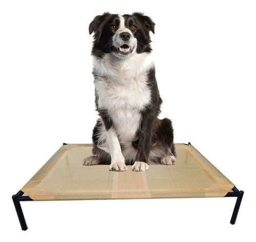 Hilgert Promo 2 Large Dog Beds 90 X 75 Cm 1