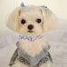 ACOCOKI Dog Collar for Female Dogs with Cute Flower and Bow 1