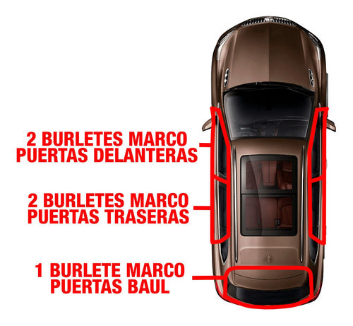 Rear X2 Rear Burlets 206 5 Premium Doors - Kit X2 Burletes Delanteros Traseros 206 5 Puertas Premium