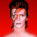 Handmade David Bowie Ziggy Stardust Amigurumi Doll by Pipelino 1