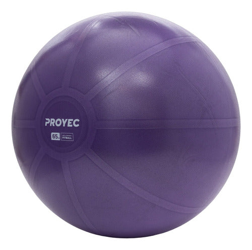 Proyec Swiss Gym Ball 65 cm + Fitness Gym Inflator 2