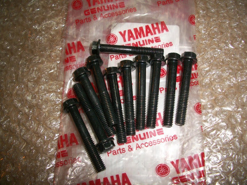 Yamaha FZ 16 Original Clutch Cover Screws 1