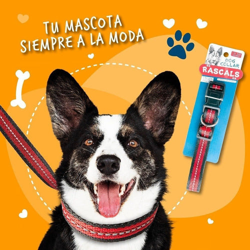 Juego Correa Collar Perros Rascals Antitranspirante Mediano 6