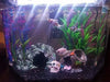 Ulifery Small Aquarium Decorations Hideaway Barrel 4