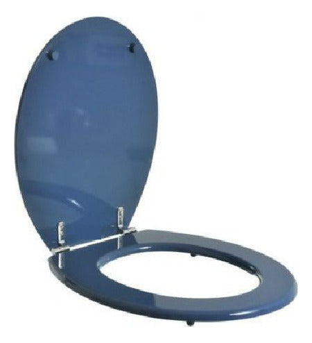 DMC Universal Toilet Seat Blue Chrome Hardware 0