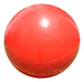 Pelota Esferodinamia Gym Ball 75 Cm 1200 Gramos Pilates Reha 0