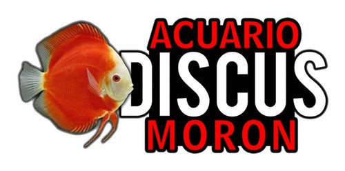 Discus Moron Adorno Castillo Cubre Pico Resina Para Pecera Acuario Deco 1