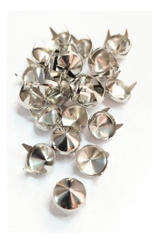 Imported 100 Stainless Steel Tacks 9.5 mm with Applicator Matrix Combo 2