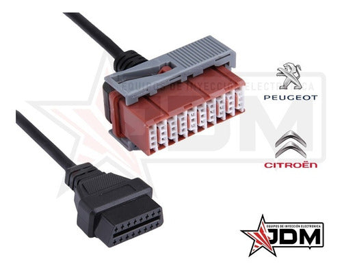 Adaptador Peugeot 30 Pines A Obd2 De 16 Pin + Programa 4