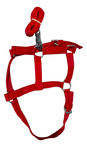 Talabarteria Virtual Nylon Halter for Young Horses with Mosquetón 1