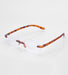 Borneo Readers - Lucca Tortoise Reading Glasses 2