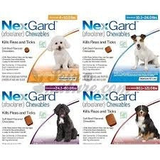 Tableta Masticable Nexgard Antipulga Y Garrapatas  10 A 25 K 5