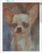 Zimal Full Drill Round Diamond Embroidery White Chihuahua Dog DIY Diamond Painting 1