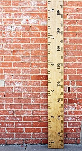 Little Acorns Vinyl Wall Growth Chart Ruler 4