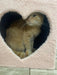 Heart-shaped Cat Scratcher House 4