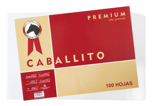 Papel Caballito Premium 35 X 25 Cm 180 Grs Paquete 100 Hojas 1