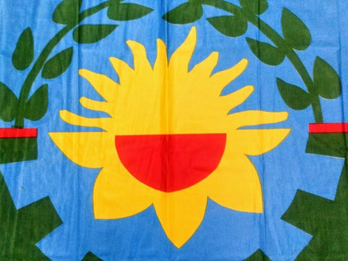 Emblemas Argentinos Buenos Aires Flameo Flag 90 X 150 Cm And Argentina 90 X 144 1