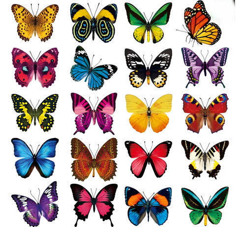 Outus Multicolor Butterfly Window Clings - 40 Pieces for Decoration 0