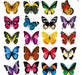 Outus Multicolor Butterfly Window Clings - 40 Pieces for Decoration 0