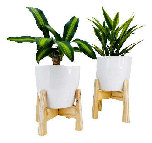 Diseño Terco Economic Planter Stand Set of 2 + 2 Plastic Pots 1