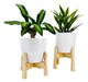 Diseño Terco Economic Planter Stand Set of 2 + 2 Plastic Pots 1