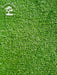 Artificial Grass Panel 50x50cm Cut 10mm by Rehau 1