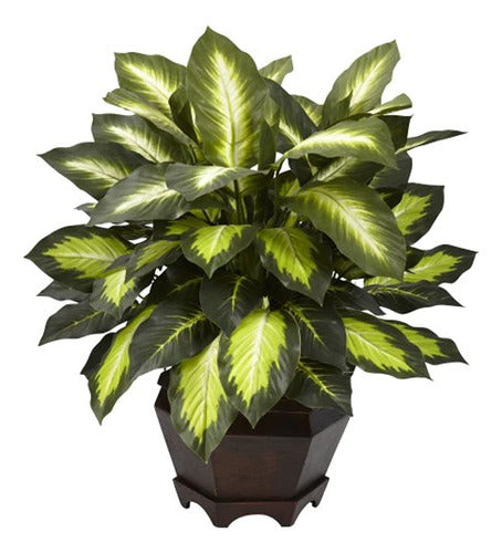 Casi Natural Triple Oro Dieffenbachia Seda Planta 0