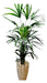 Palmera Raphis Con Maceta Y Decorado !!! 0