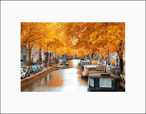 MYCARTE Lamina Fine Art Foto Amsterdam En Otoño 50x70 Cm 1