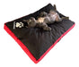 Mascotitas Colchon Cama Perro Pequeños 80x60 Antidesgarro 5