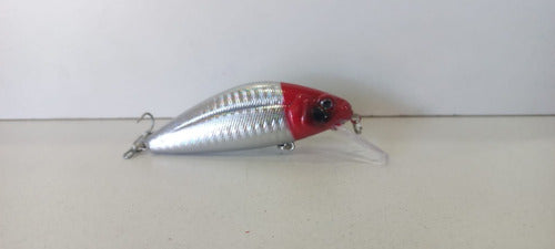 Crazy Shad 100 Señuelo - 10cm 32g Bait Ideal for Tararira 1