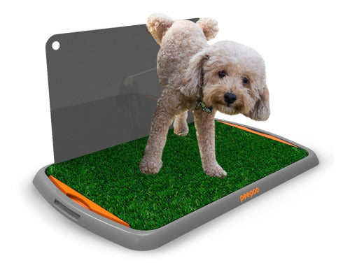 Brain Pet Peepoo Dog Training Grass Tray 1