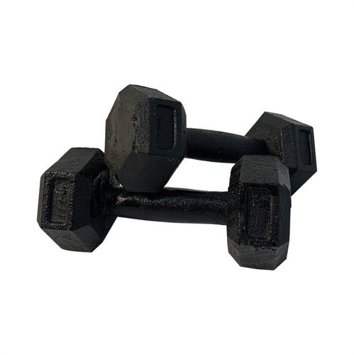 GYM-MAN 2kg Cast Iron Dumbbells, Round or Hexagonal, Set of 2 0