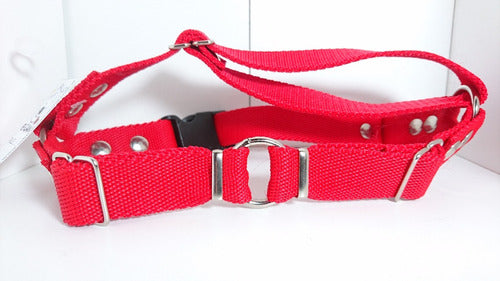 No Pull Anti-Pulling Dog Harness for Chest and Throat For My Dog Size 3,4 35