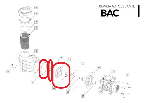 Kit Reparacion Repuestos Bomba Vulcano Modelo Bac 2