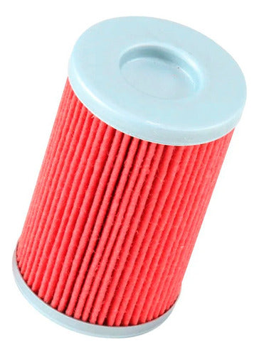 Filtro De Aceite - Ktm Duke Rc 200 250 390 690 1