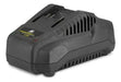 Stayer 18V L20 Battery Charger 2 and 4 Amperes 0