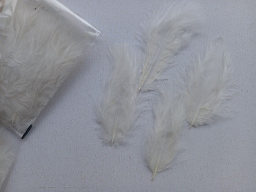 Naturall Premium Marabu Mini Feather White 6/8cm Souvenir Party Decoration 1