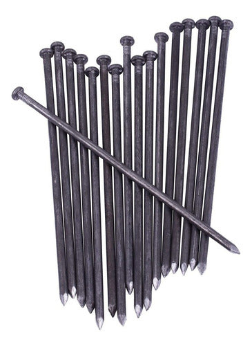 GRANDAN Metal Landscape Edge Anchor Nails, 50 0