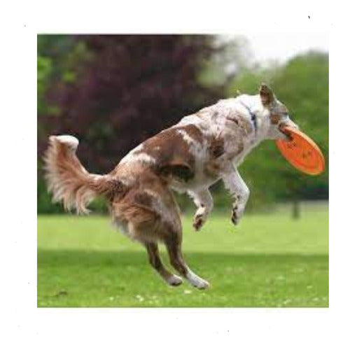 Bestia Peluda Dog Activi Floating Frisbee Plastic 23cm 2